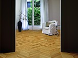 Rovere spina ungherese